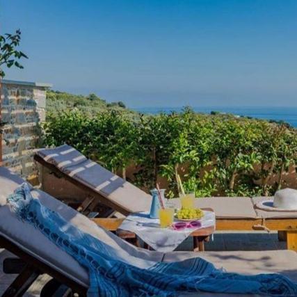 Villa Alegria Skopelos Town Bagian luar foto