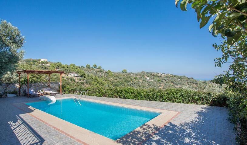 Villa Alegria Skopelos Town Bagian luar foto